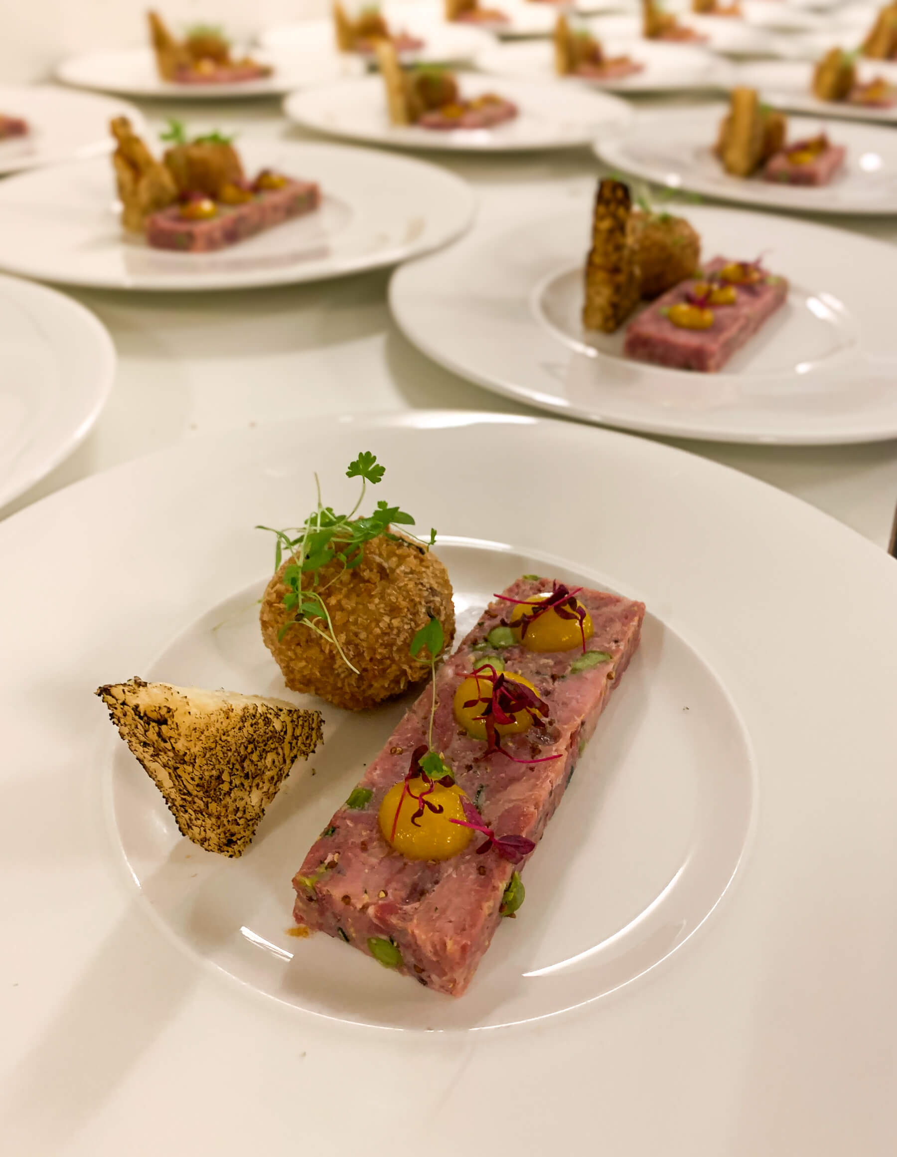 Green Cow Catering - Chef Harry Gould - Devon & Somerset Main Couse fine dining